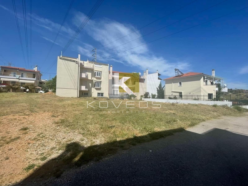 property-img